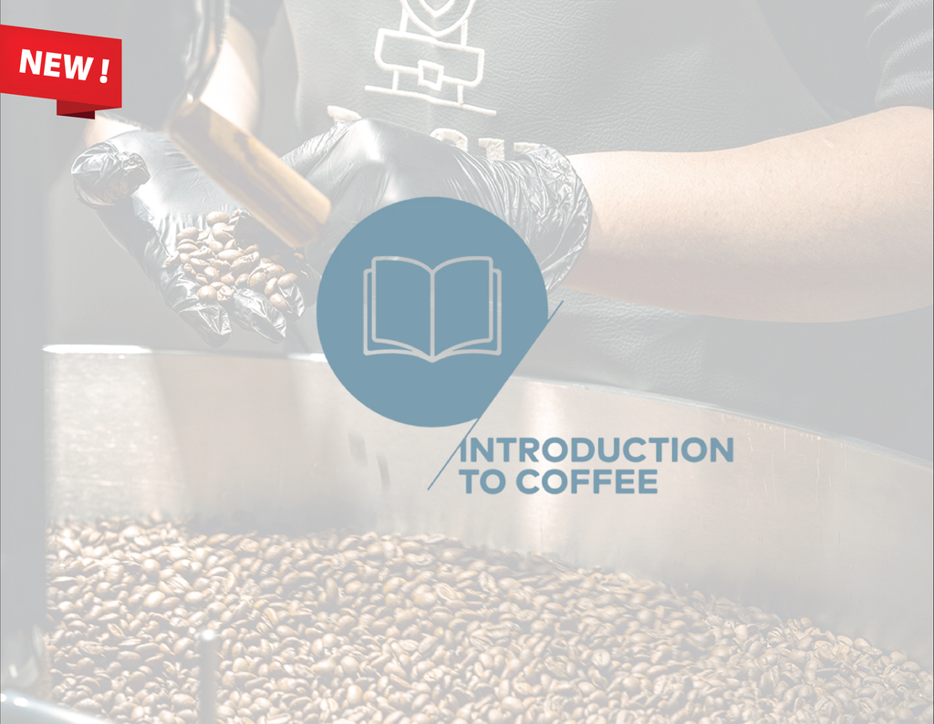 Introduction to Coffee (SCA)