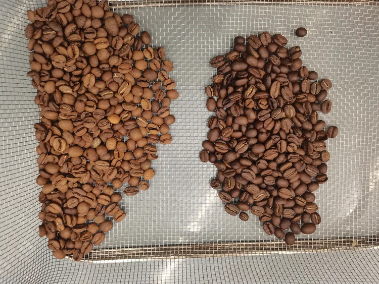 Genio Coffee Bean Colour Sorter