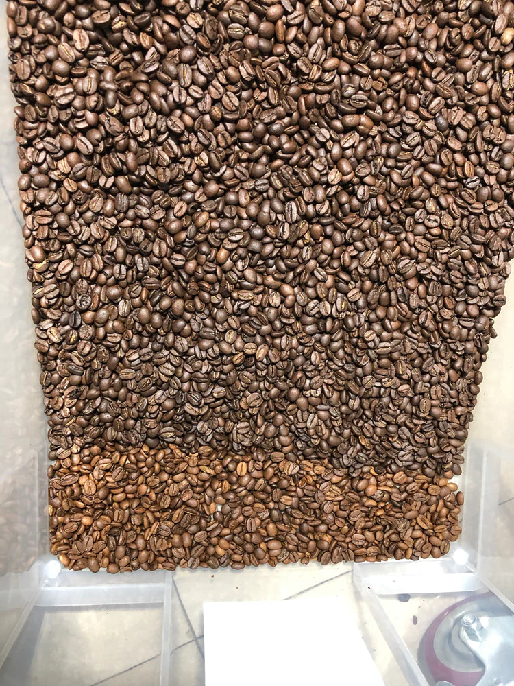 Genio Coffee Bean Colour Sorter